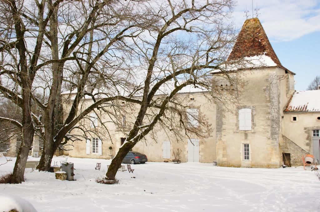 Chateau De La Combe Puyrenier Kültér fotó