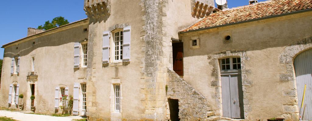 Chateau De La Combe Puyrenier Kültér fotó