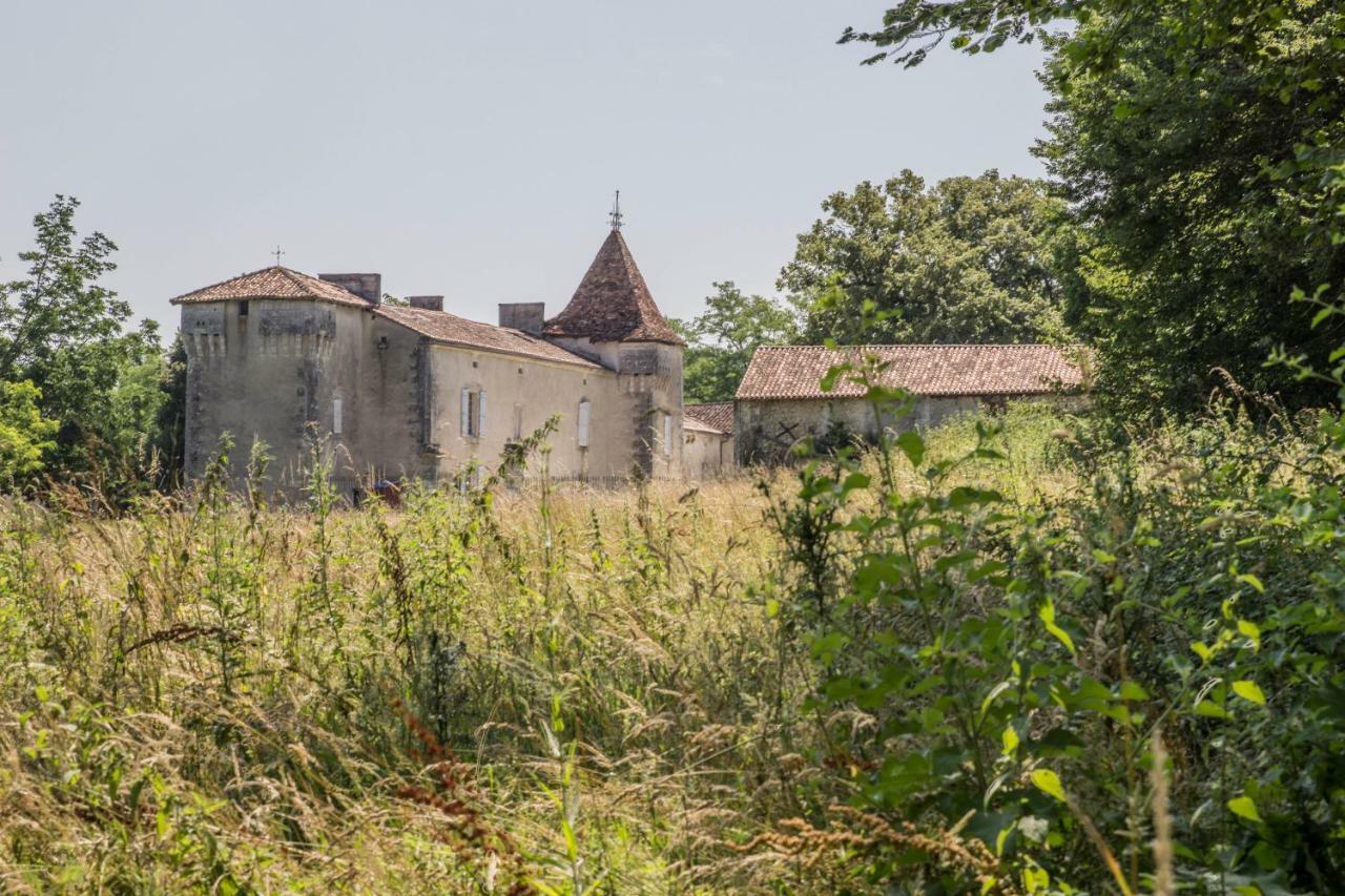 Chateau De La Combe Puyrenier Kültér fotó
